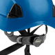 3975 | Raptor