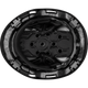 3976 | Raptor