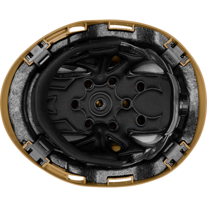 3976 | Raptor