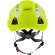 3976 | Raptor