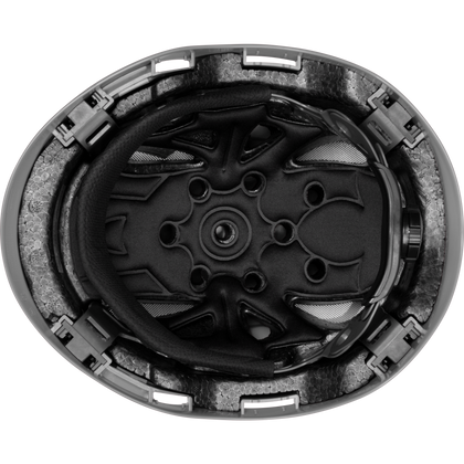 3976 | Raptor