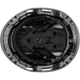 3976 | Raptor